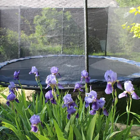 Chalet Z Jacuzzi *