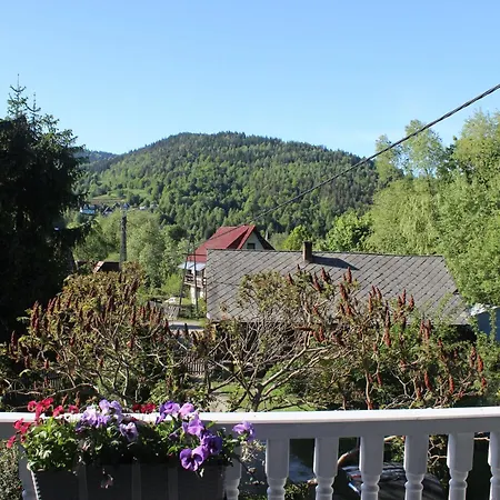 Chalet Z Jacuzzi Zawoja