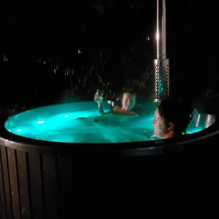Z Jacuzzi Domek alpejski